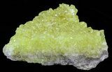 Sulfur Crystals on Matrix - Bolivia #51586-1